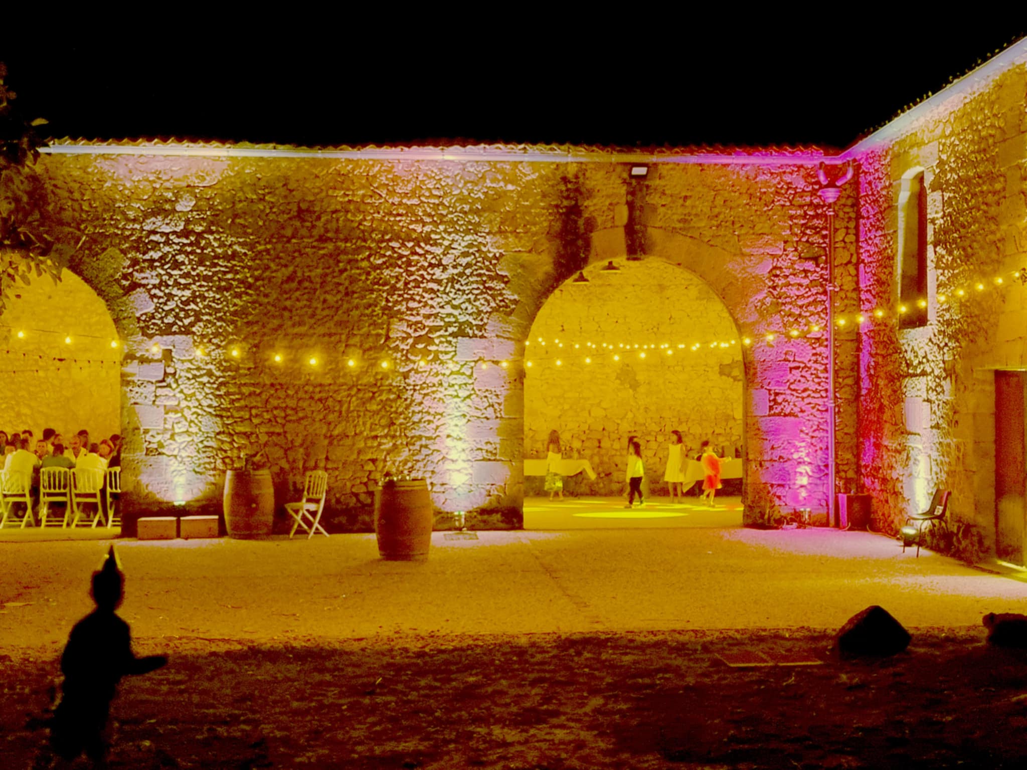 Cour de réception de mariage éclairée par DJ Fabio